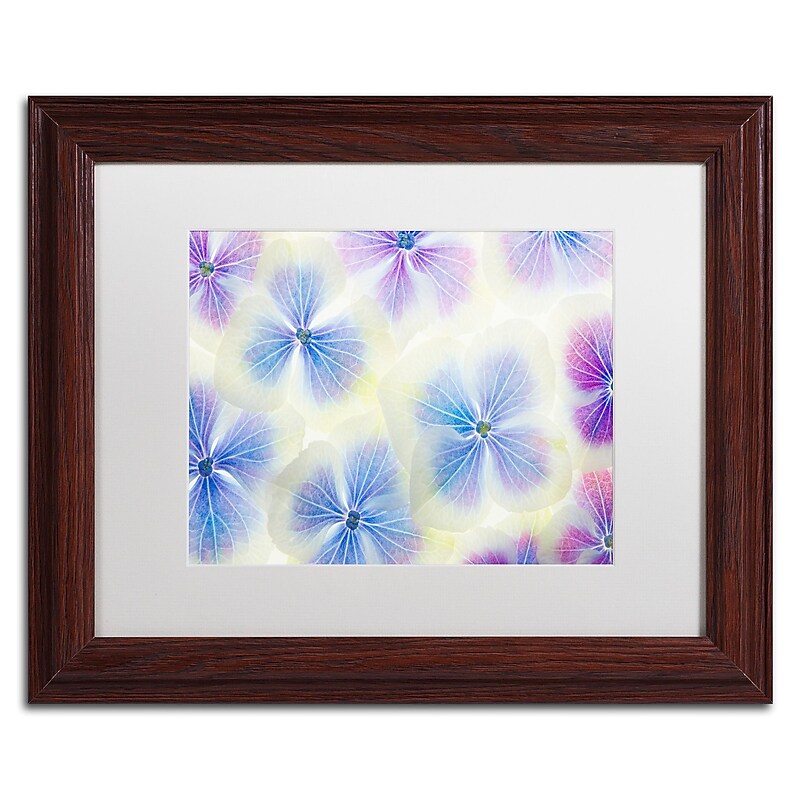 Trademark Fine Art Cora Niele 'Blue and White Hydrangea Flowers' 11" x 14" Matted Framed (190836256488) image 1