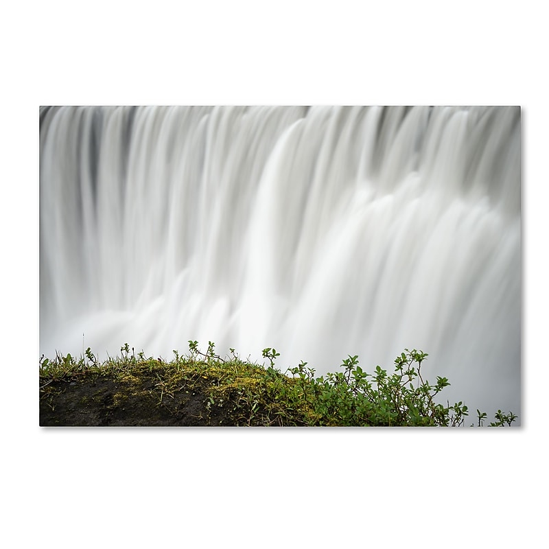 Trademark Fine Art Philippe Sainte-Laudy 'Float' 12" x 19" Canvas Stretched (190836297085) image 1