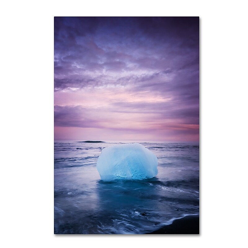 Trademark Fine Art Philippe Sainte-Laudy 'Up on This' 12" x 19" Canvas Stretched (190836331468) image 1