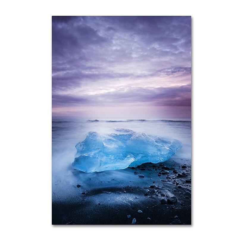 Trademark Fine Art Philippe Sainte-Laudy 'Overjoyed' 12" x 19" Canvas Stretched (190836320509) image 1