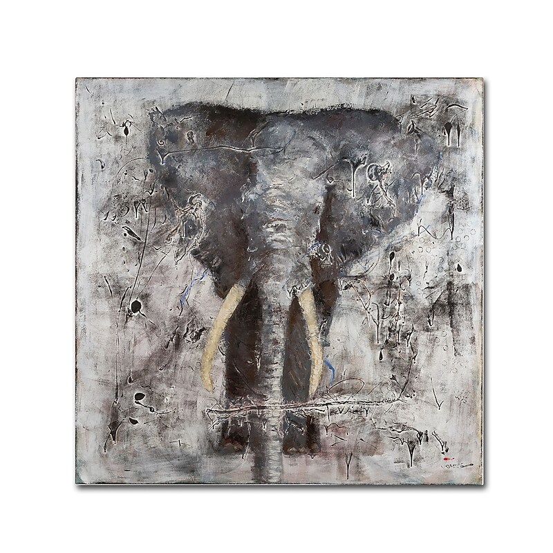 Trademark Fine Art Joarez 'Wild Life' 18" x 18" Canvas Stretched (190836235896) image 1