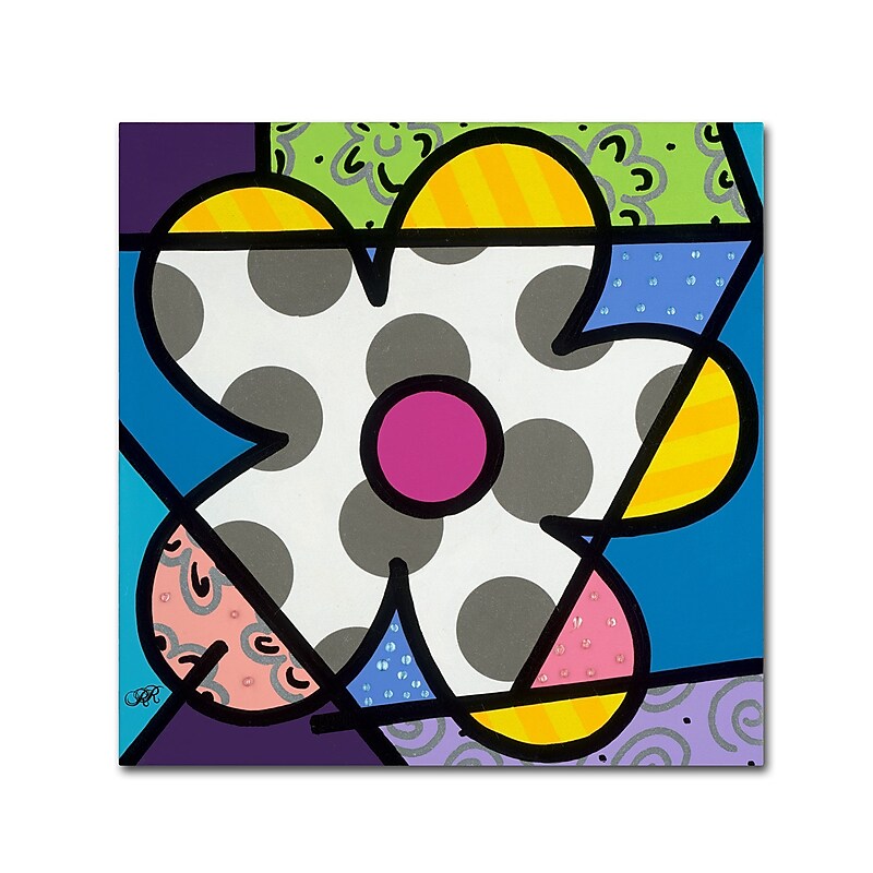 Trademark Fine Art Roberto Rafael 'Big Flower III' 18" x 18" Canvas Stretched (190836279951) image 1