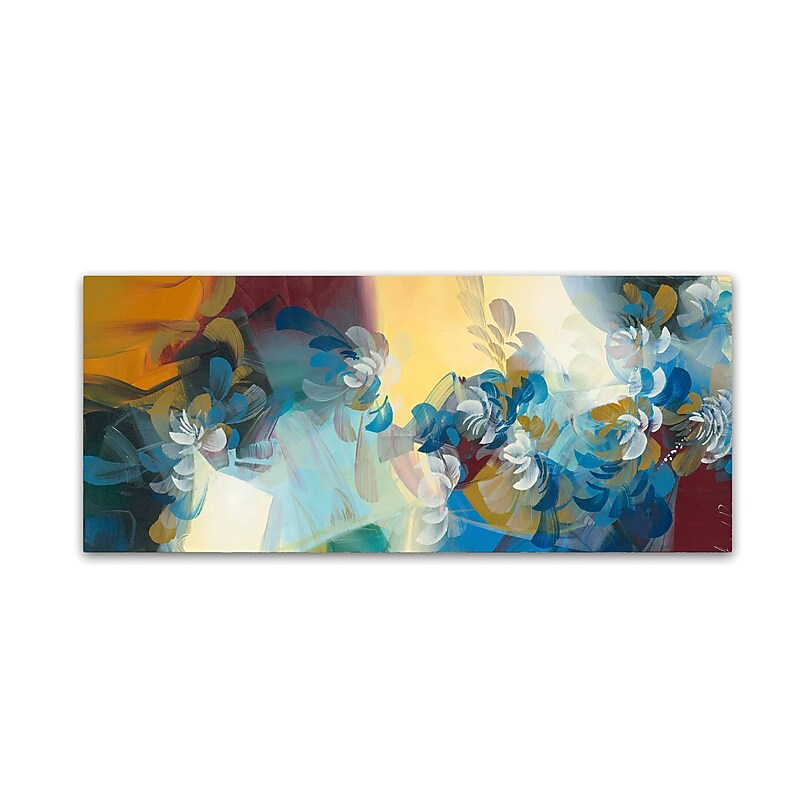 Trademark Fine Art Andrea 'Sunrise' 10" x 24" Canvas Stretched (190836011087) image 1