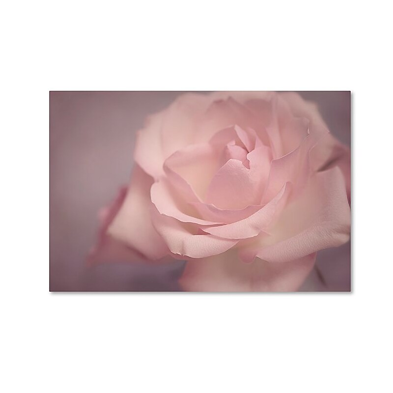 Trademark Fine Art Cora Niele 'Tenderness' 16" x 24" Canvas Stretched (190836260799) image 1