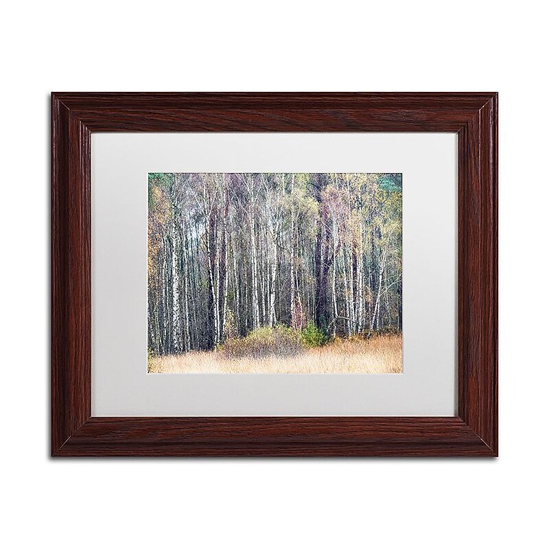 Trademark Fine Art Cora Niele 'Birches' 11" x 14" Matted Framed (190836316342) image 1