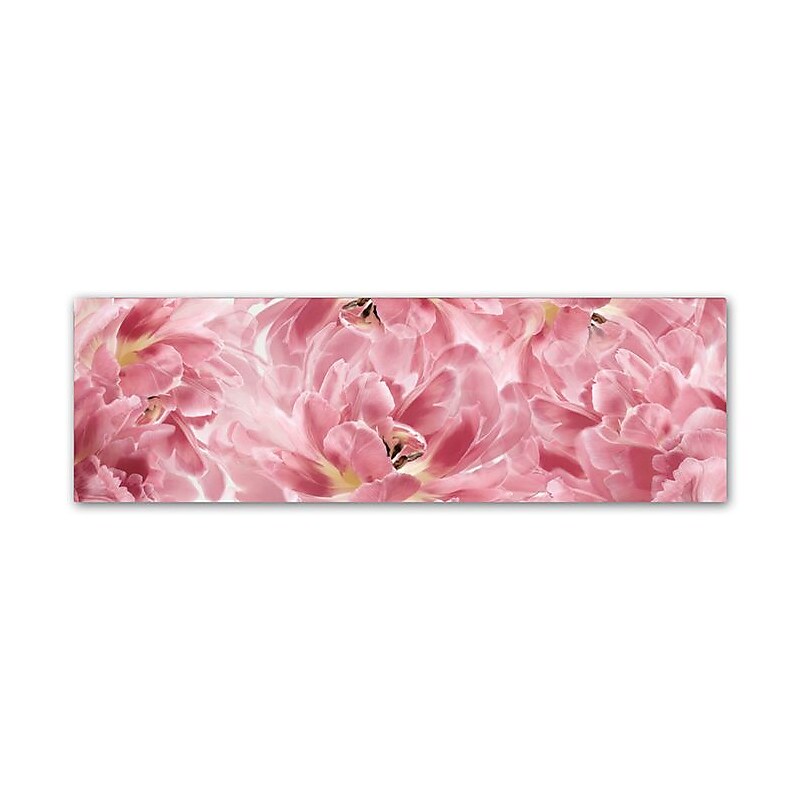 Trademark Fine Art Cora Niele 'Pink Tulips Scape' 6" x 19" Canvas Stretched (190836317806) image 1