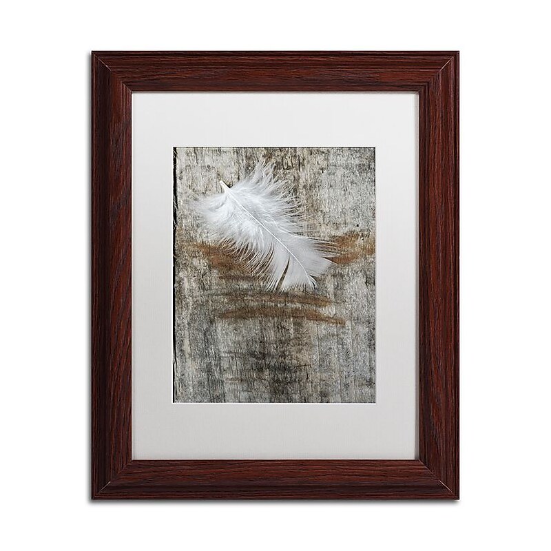 Trademark Fine Art Cora Niele 'White Feather on Wood' 11" x 14" Matted Framed (190836256068) image 1