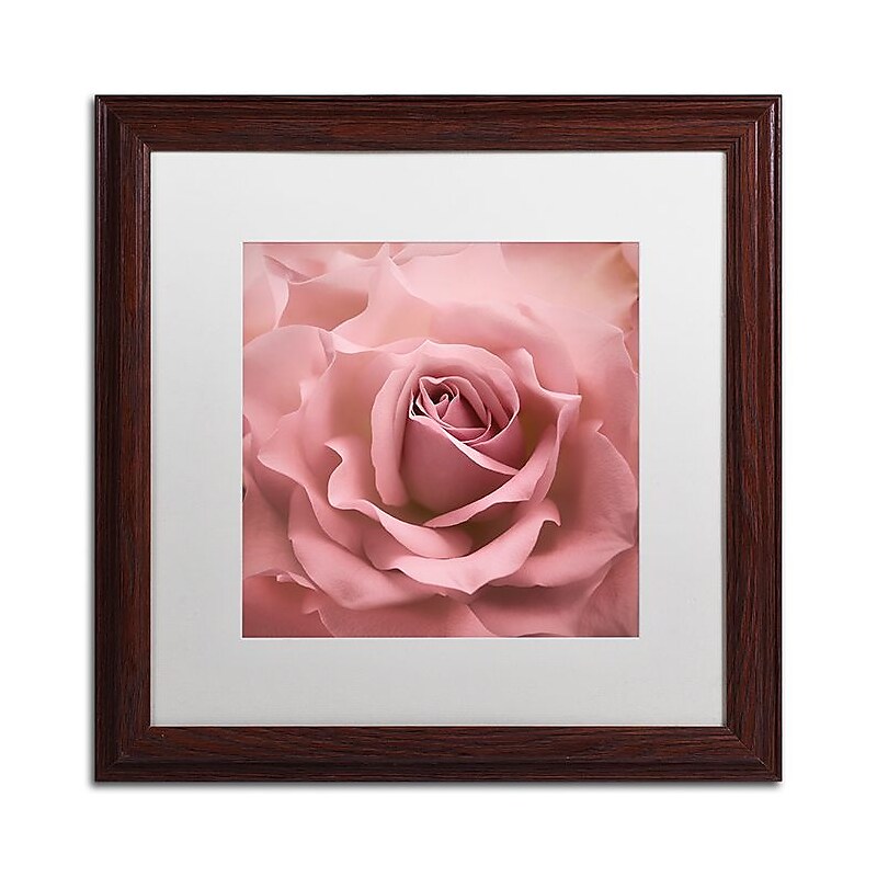 Trademark Fine Art Cora Niele 'Misty Rose Pink Rose' 16" x 16" Matted Framed (190836258314) image 1
