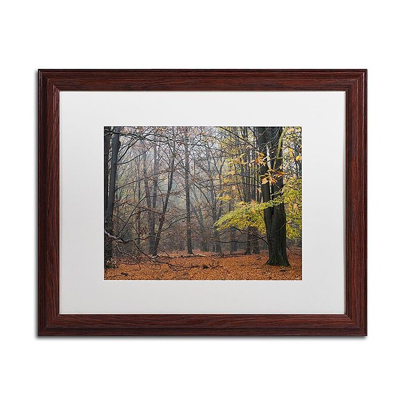 Trademark Fine Art Cora Niele 'Hazy Wood' 16" x 20" Matted Framed (190836316496) image 1