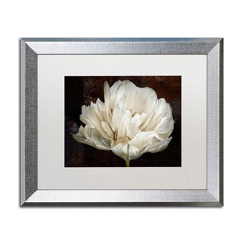 Trademark Fine Art Cora Niele 'Double White Tulip' 16" x 20" Matted Framed (190836257713) image 1
