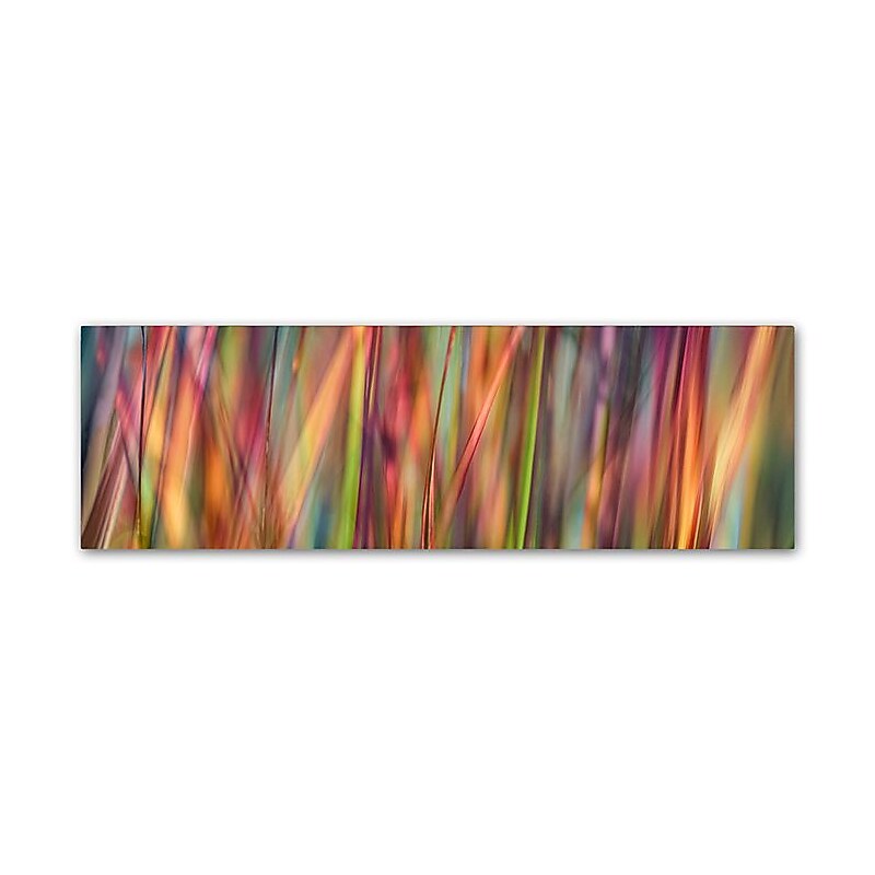 Trademark Fine Art Cora Niele 'Grass Spectrography' 6" x 19" Canvas Stretched (190836317363) image 1