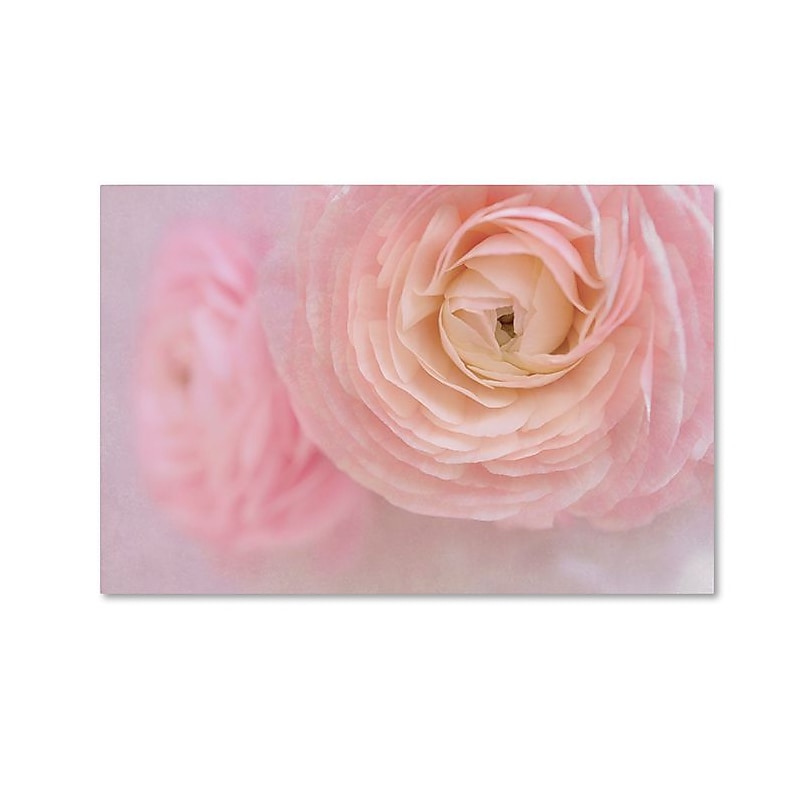 Trademark Fine Art Cora Niele 'Soft Pink Flower Bouquet' 12" x 19" Canvas Stretched (190836260645) image 1
