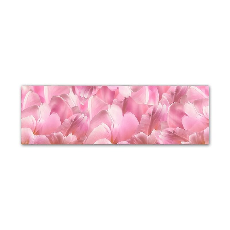 Trademark Fine Art Cora Niele 'Pink Tulip Scape' 6" x 19" Canvas Stretched (190836317769) image 1