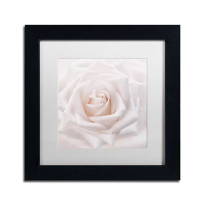Trademark Fine Art Cora Niele 'Soft White Rose' 11" x 11" Matted Framed (190836309641) image 1