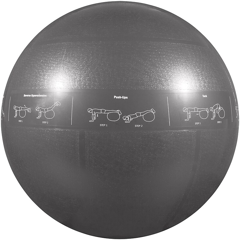 Gofit Stability Ball, Gray (GOFGF75PRO) image 1
