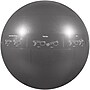 Gofit Stability Ball, Gray (GOFGF75PRO)~#|#~sp55033107_sc7