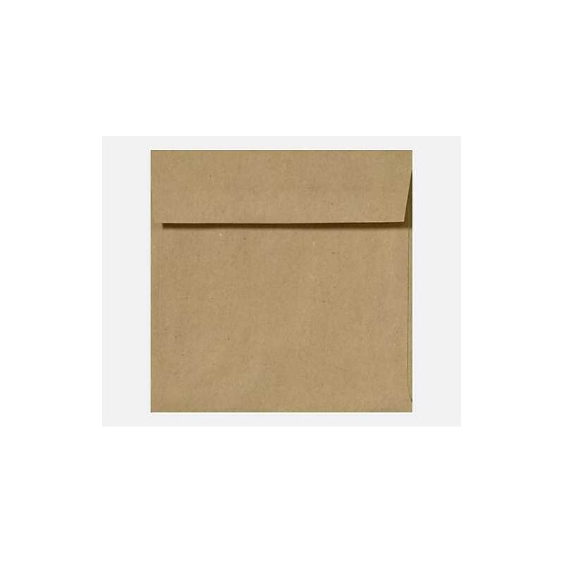 LUX 5 1/2 x 5 1/2 Square Envelopes, 250/Box, Grocery Bag (8515-GB-250) image 1
