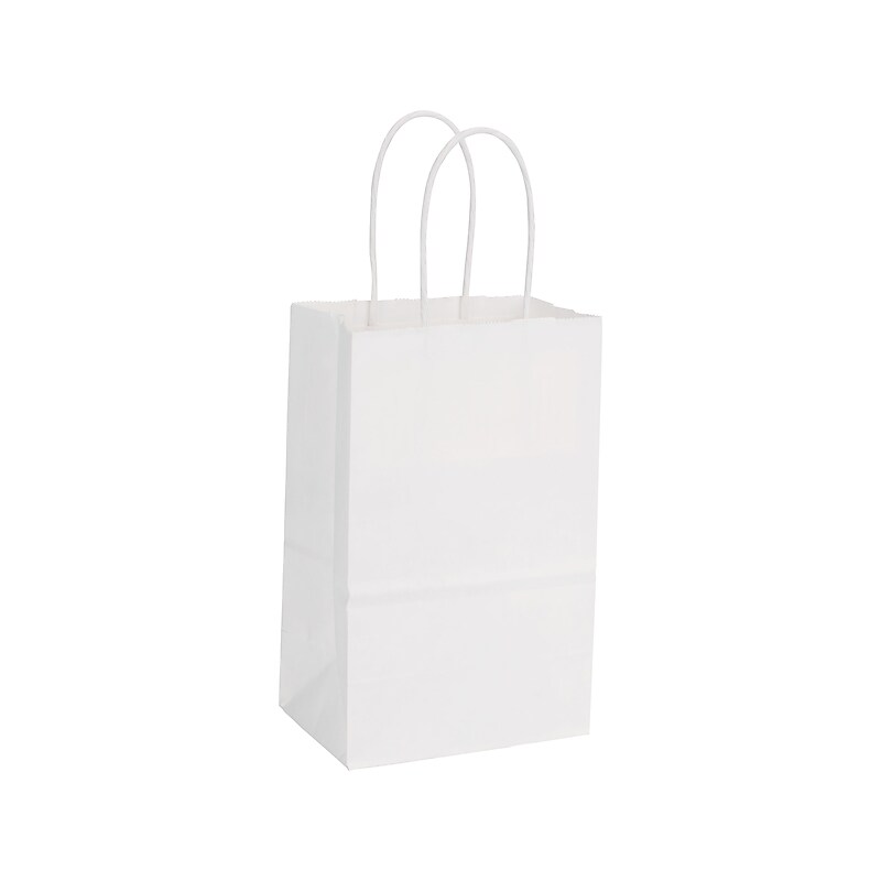 Bags & Bows 8.25" x 5.25" x 3.5" Kraft Paper Shopping Bags, White, 25/Pack (MINI-WHT) image 1