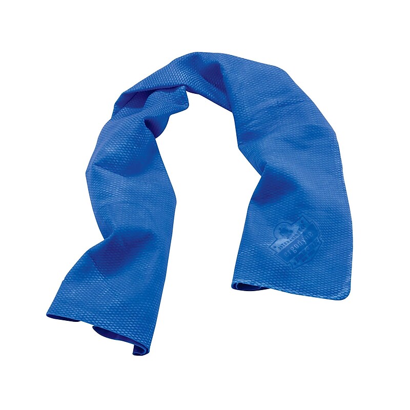 Ergodyne Chill-Its 6602 Cooling Towel, Blue, One Size, 50/Carton (12410) image 1