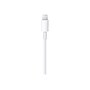 Apple Lightning to USB-C Charging Cable, 3.28 ft., White (MUQ93AM/A)~#|#~sp56876094_sc7
