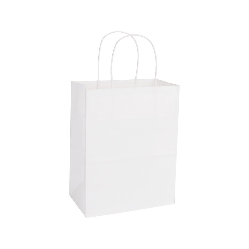 Duro Tempo 10.5" x 8.25" x 4.75" Kraft Paper Shopping Bags, White, 25/Pack (CUB-WHT) image 1