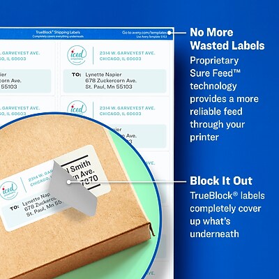 Shipping Labels W/ TrueBlock Technology, Inkjet Printers, 2 X 4 White 10sheet 100 Sheetsbox