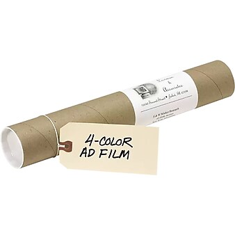 Avery 4.75" Blank Shipping Tags, Manila, 100/Pack (11005)