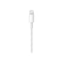 Apple Lightning to USB Cable for iPhone/iPad/iPod Touch, White (MD819AM/A)~#|#~sp58194185_sc7