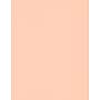 LUX Colored Paper, 32 lbs., 8.5" x 11", Blush, 500 Sheets/Pack (81211-P-114-500)~#|#~sp5873531_sc7