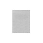 LUX Sparkle Colored Paper, 35 lbs., 11" x 17", Silver Sparkle, 50 Sheets/Pack (1117-P-MS01-50)~#|#~sp5873550_sc7