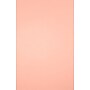 LUX Colors 11" x 17" Color Specialty Paper, 32 lbs., Blush, 250 Sheets/Ream (1117-P-114-250)~#|#~sp5873560_sc7