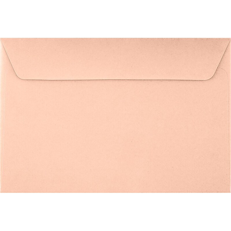 LUX 6 x 9 Booklet Envelopes 250/Pack, Blush (LUX-4820-39-250) image 1