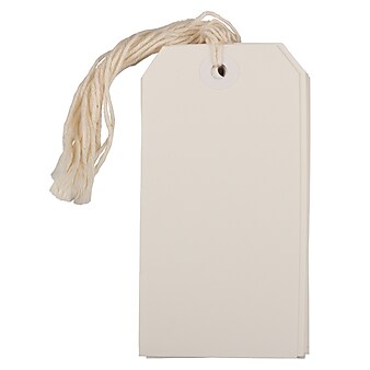 JAM Paper® Gift Tags with String, Medium, 2 3/8 x 4 3/4, White, 10/pack (39197120)