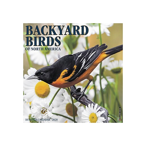 Shop Staples For 2020 Willow Creek 12 X 12 Wall Calendar