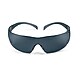 Dark Tinted Lens