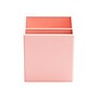Poppin 2-Compartment ABS Plastic Pen Cup, Blush (104443)~#|#~sp59997476_sc7