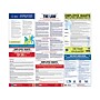 Adams Federal Labor Law Poster (ABF PP1012)~#|#~sp60277720_sc7