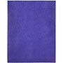 JAM Paper Tyvek Open End Open End #13 Catalog Envelope, 10" x 13", Blue, 10/Pack (V021377B)~#|#~sp61031282_sc7