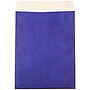 JAM Paper Tyvek Open End Open End #13 Catalog Envelope, 10" x 13", Blue, 10/Pack (V021377B)~#|#~sp61031317_sc7