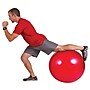 Gofit Stability Ball, Red (GF-55BALL)~#|#~sp61919164_sc7
