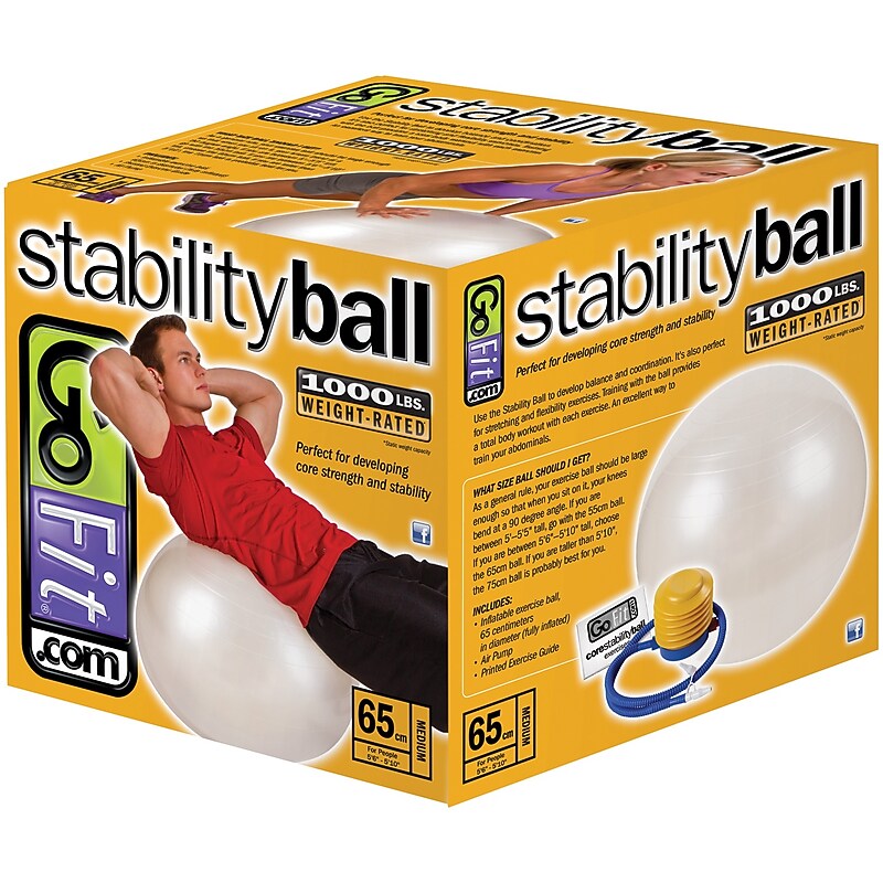 Gofit Exercise Ball With Pump, White (GF-65BALL) image 1