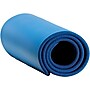 Gofit Mat, Blue (GOFGFPMAT)~#|#~sp61919181_sc7