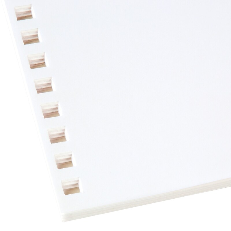 GBC 250 Sheet Pre-Punched Paper, 8 1/2" x 11" (2514479) image 1