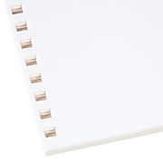 GBC 250 Sheet Pre-Punched Paper, 8 1/2" x 11" (2514479)