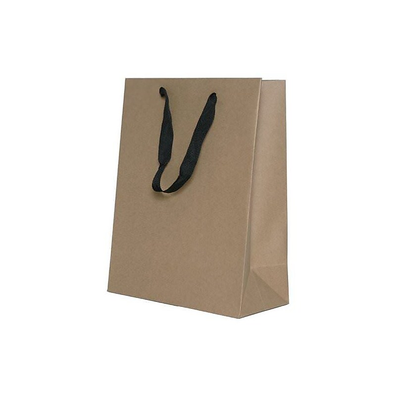 JAM Paper Heavy Duty Kraft Gift Bags, 10" x 13" x 5", Brown Kraft Matte, 3 Bags/Pack (673HDKRA) image 1