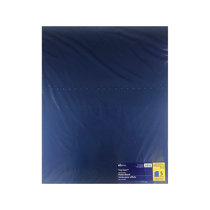 Royal Brites Two Cool Colors Primary Paper Poster Boards, 22" x 28", Light Blue/Dark Blue, 5/Pack (23421) image 1