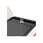 BARSKA Paris and London Dual Steel Book Safe with Key Lock, 0.07 cu. ft. (CB12470)~#|#~sp63970164_sc7