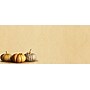 Great Papers! Fall Pumpkins Holiday Envelopes, Multicolor, 40/Pack (2019094)~#|#~sp64829765_sc7