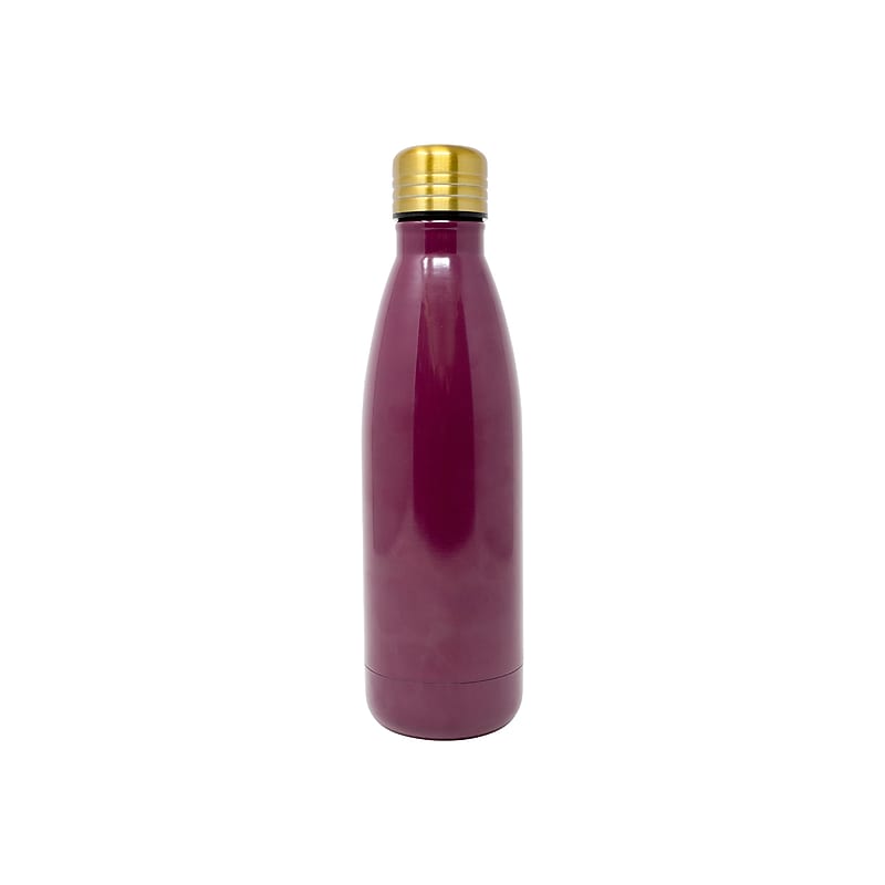 Boston Warehouse Thermal Bottle, Maroon, 17 oz. (70187) image 1