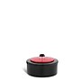 Nine Steel Stars Multi Purpose Container, 0.5 Gallon, Red Ladybug (DZT-2-18RD)~#|#~sp65447791_sc7